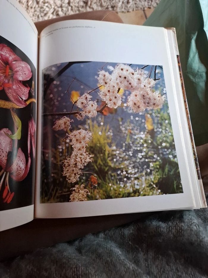 Le grand livre de la forêt. - photo numéro 6