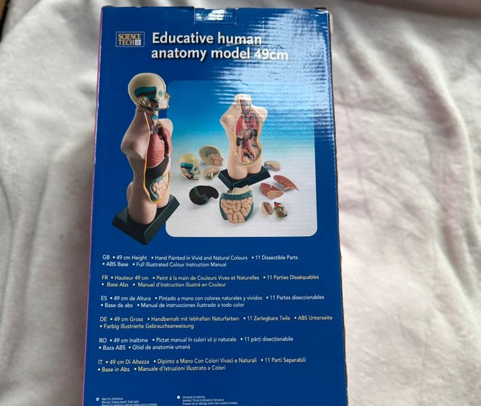 Model d’anatomie éducatif 49cm - photo numéro 2