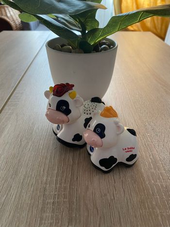 Duo vaches tut tut animaux