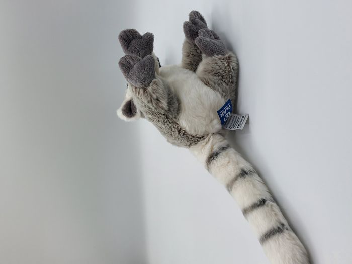 Peluche doudou lémurien blanc marron chiné blanc gris noir NATURE PLANET 22 cm - photo numéro 4