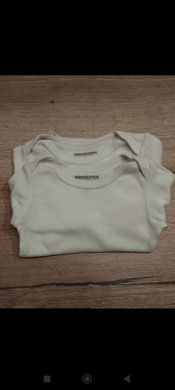 Lot 2 bodies manches longues, taille 6 mois, collection 2025