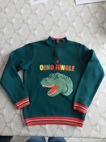 Pull col zippé sergent major 10 ans dino