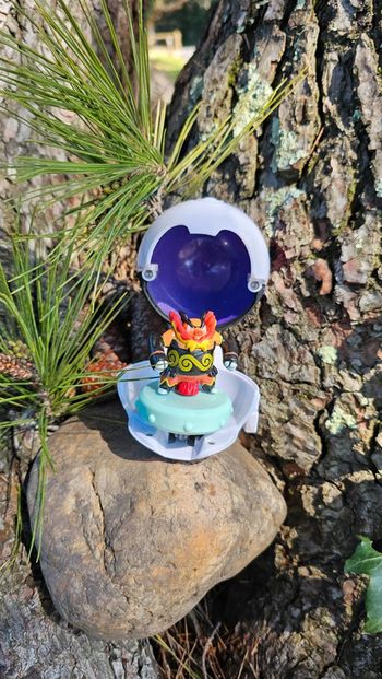 Super toupie Master balle figurine Pokemon Nintendo Roitiflam