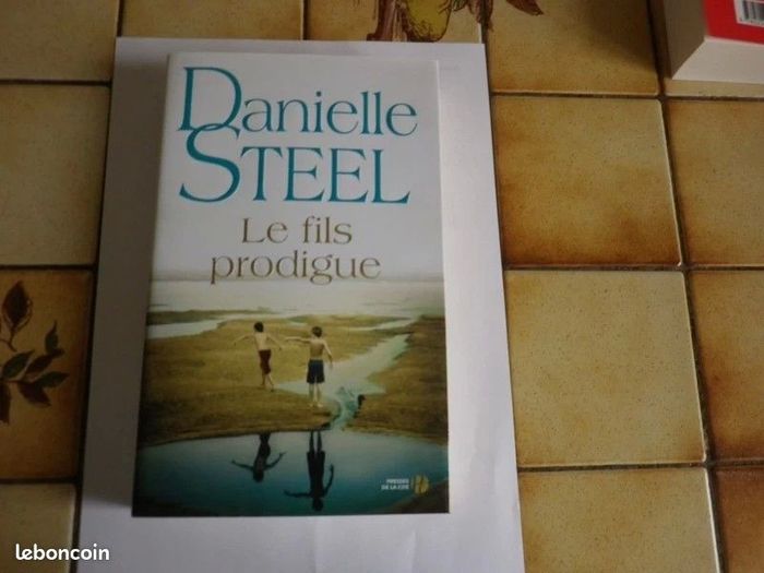 Livre Le Fils prodigue – Danielle Steel - grand format (roman broché) - photo numéro 5