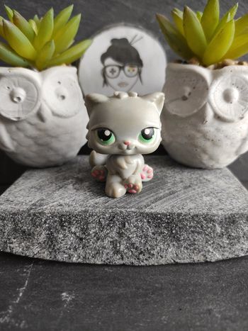 My Littlest Petshop LPS Pet Shop chat persan 82 cat  #geektradelpschat