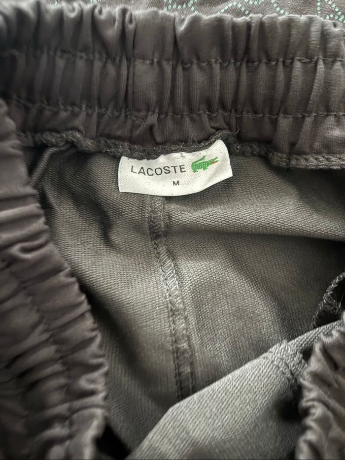 Ensemble Lacoste - photo numéro 4