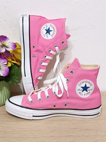 Converse rose