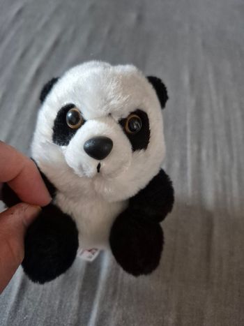 Peluche