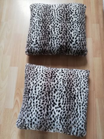 2 Coussins décoratifs 