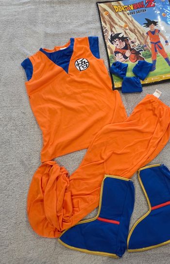 Déguisement Dragon Ball Z 