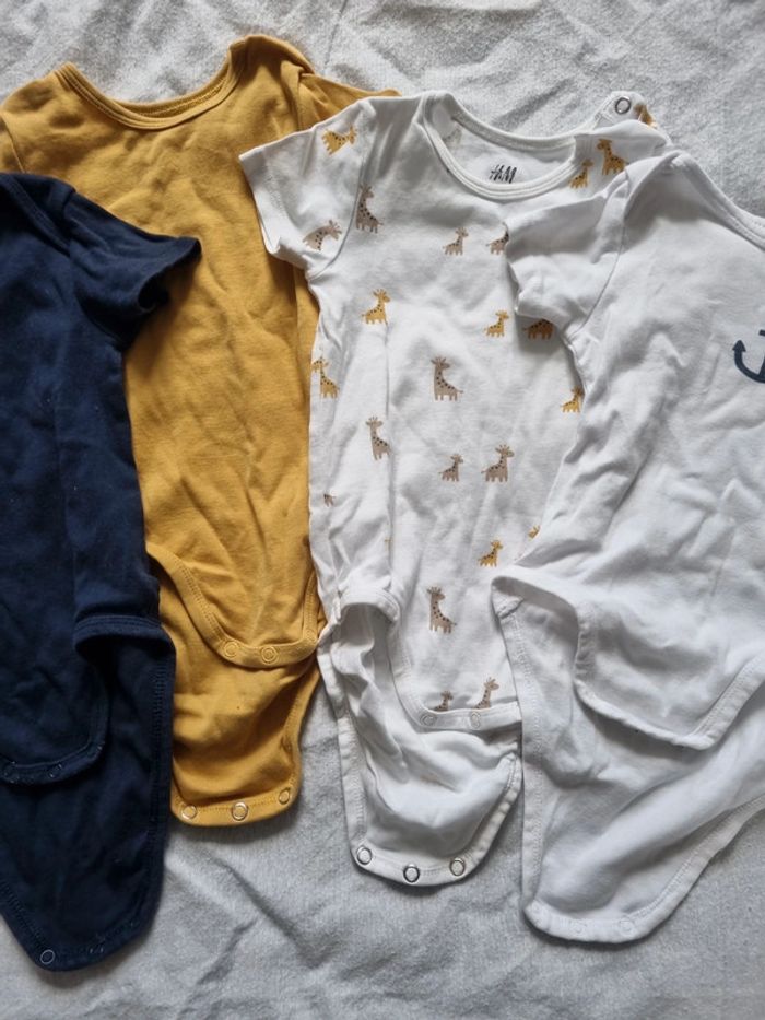 Lot 4 bodys 80 cms H&M - photo numéro 3