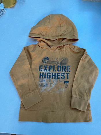 T-shirt manches longues avec capuche 4 ans Vertbaudet