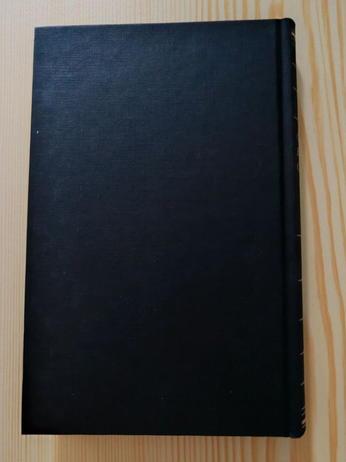 Gilbert Bordes 🌸 Ce soir, il fera jour - photo numéro 2