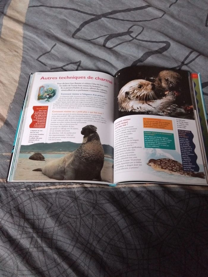 Livre animaux des mers et des océans - photo numéro 3