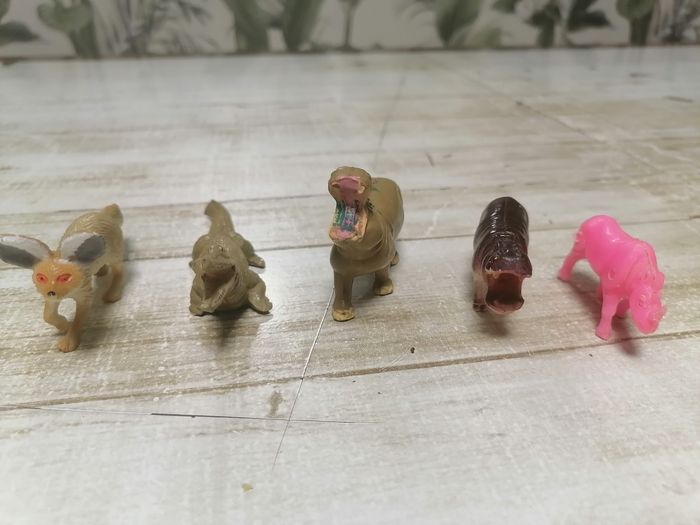 Animaux. - photo numéro 7