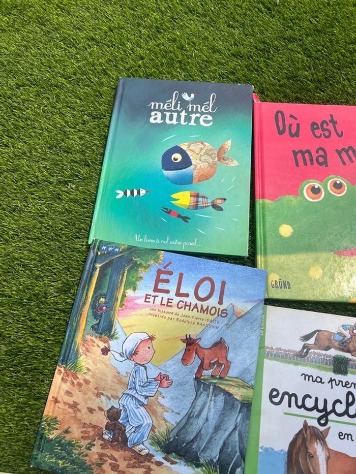 Gros lot de livres divers ( pas de vinted go ) - photo numéro 18