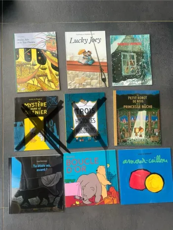 Lot livres École des Loisirs