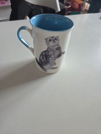 Tasse chats