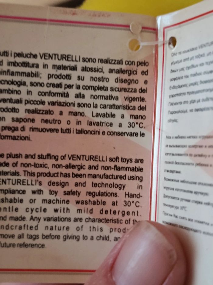 Canard Venturelli - photo numéro 4