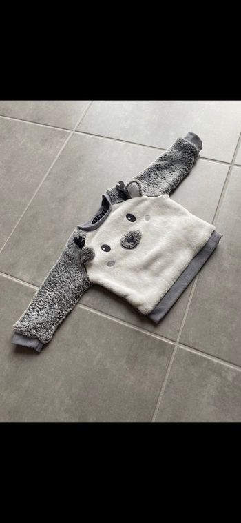Pull Renne 6 mois