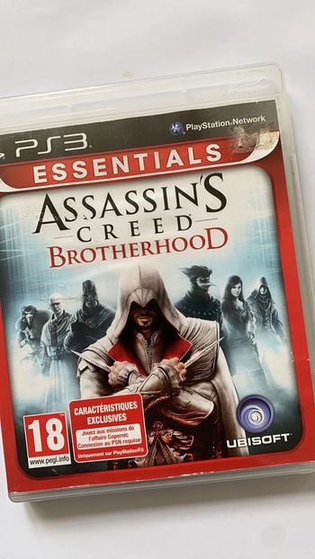 Assassin brotherhood