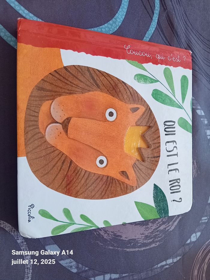 Livre enfant