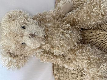 Peluche ours beige "Oscar"
