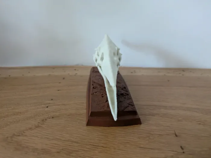 Crâne de ptéranodon sur socle - photo numéro 4