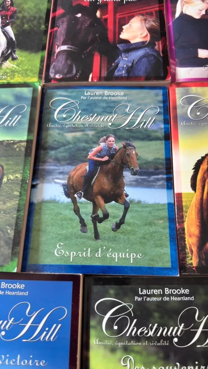 📚 Lot complet – Chestnut Hill – Tomes 1 à 9 – Lauren Brooke - photo numéro 12