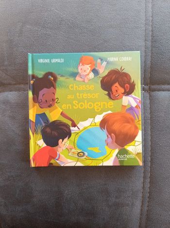 Livre Mac Do Chasse au trésor en Sologne Merveilles de France Hachette Jeunesse