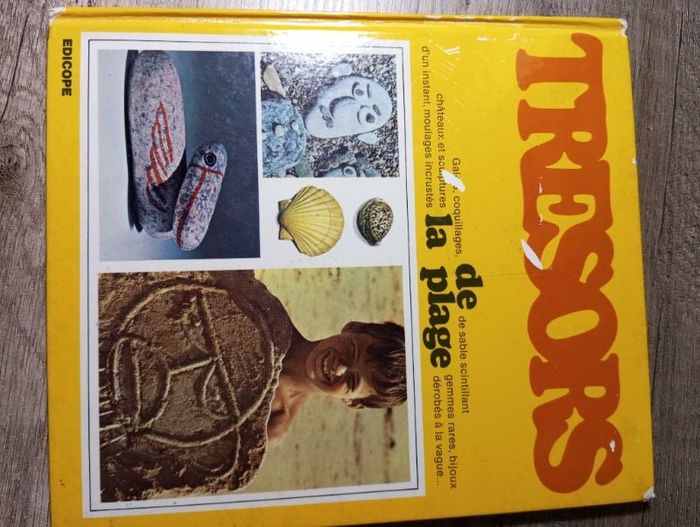 Livre "Trésor de la plage"