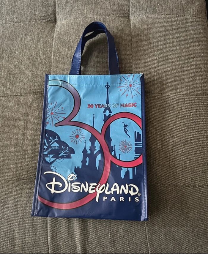 Sac cabas Family 30 ans Disneyland Paris - photo numéro 12