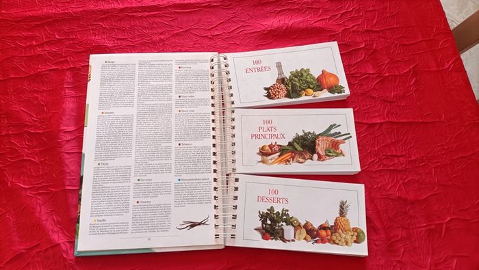 Livre tout savoir Herbes et épices - photo numéro 3
