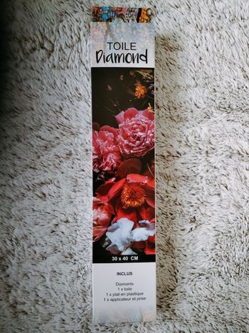 Toile Diamond 30x40cm