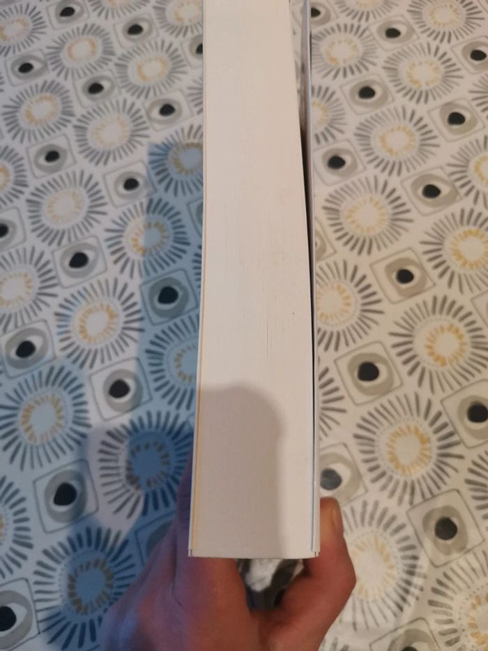 Éric Emmanuel Schmitt L'homme qui voyait à travers les visages - photo numéro 4