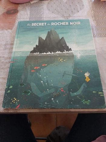 Livre Le secret du rocher noir