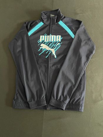 Veste Puma