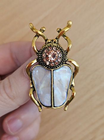 Broche scarabée,  effet vintage