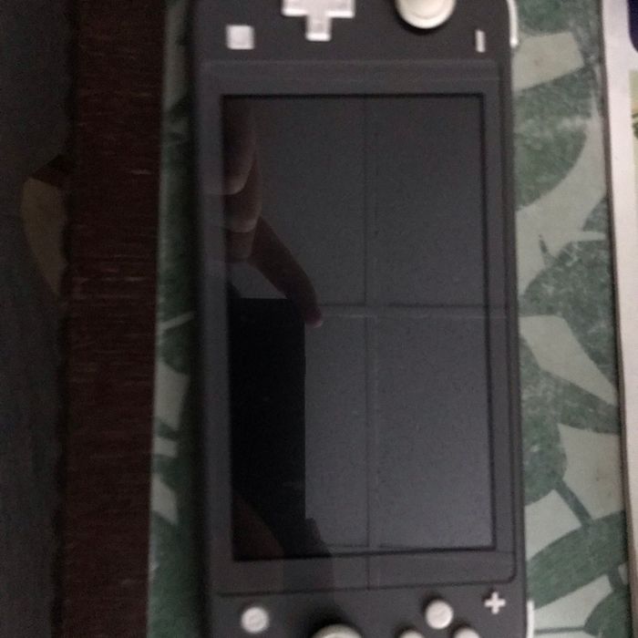 Vend Nintendo switch lite