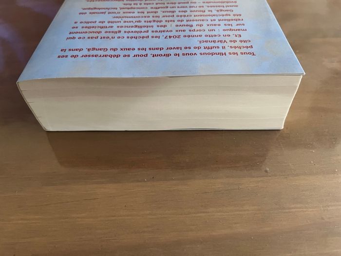 Le Fleuve des Dieux Ian Mc Donald Denoël - photo numéro 3