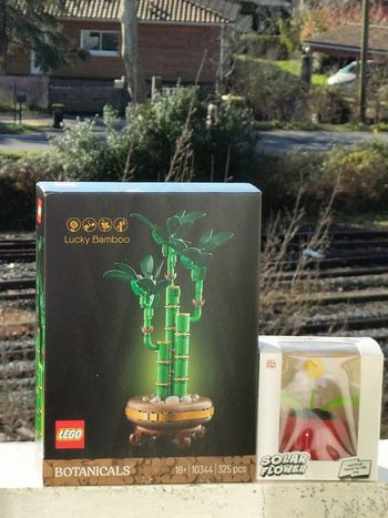 Lego le bambou de la chance et fleur dansante
