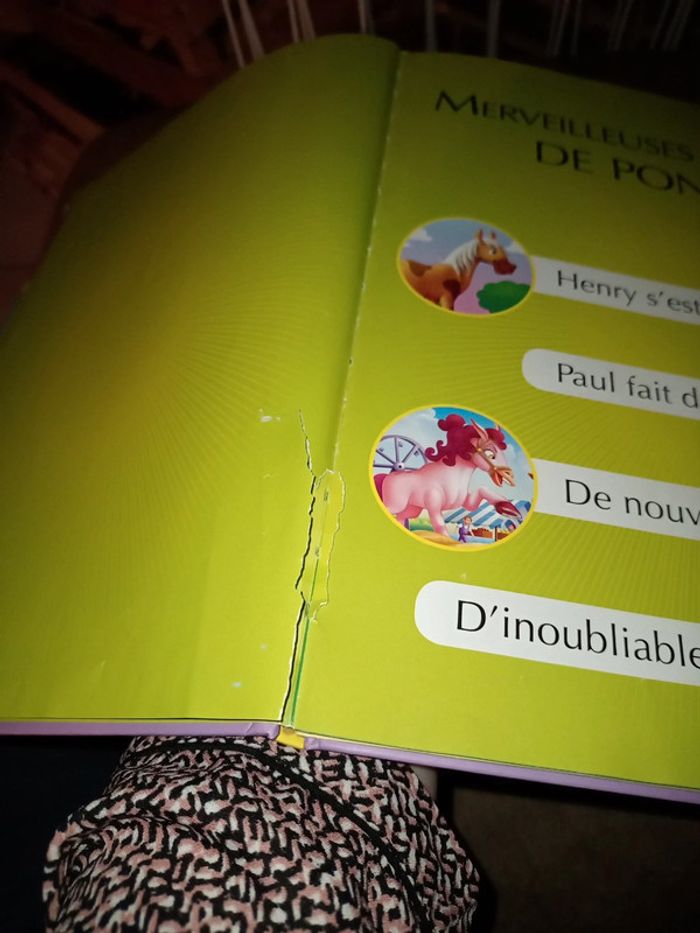 Livre merveilleuses histoires les poneys - photo numéro 5