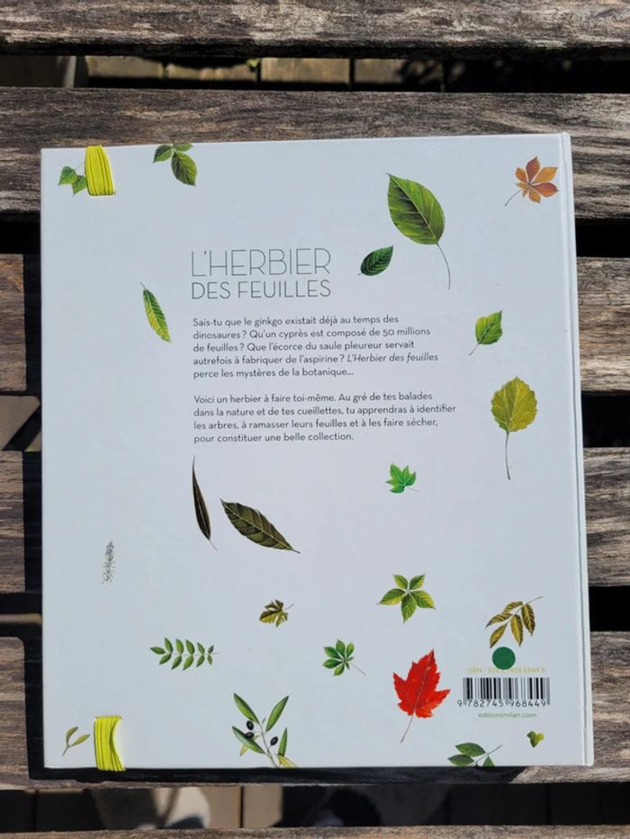 Très bel herbier Milan : L'Herbier des feuilles 🍃 72 - photo numéro 11