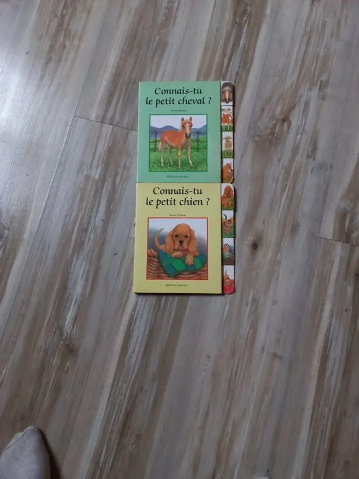 Lot de 2 livres sur connait-tu le petit chien? Et sur connaît-tu le petit cheval?