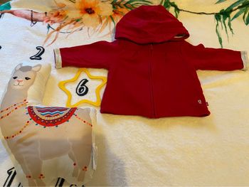 Gilets bébé fille 6 mois