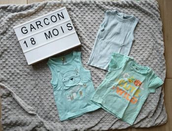 Lot de 3 tee-shirt 18 mois