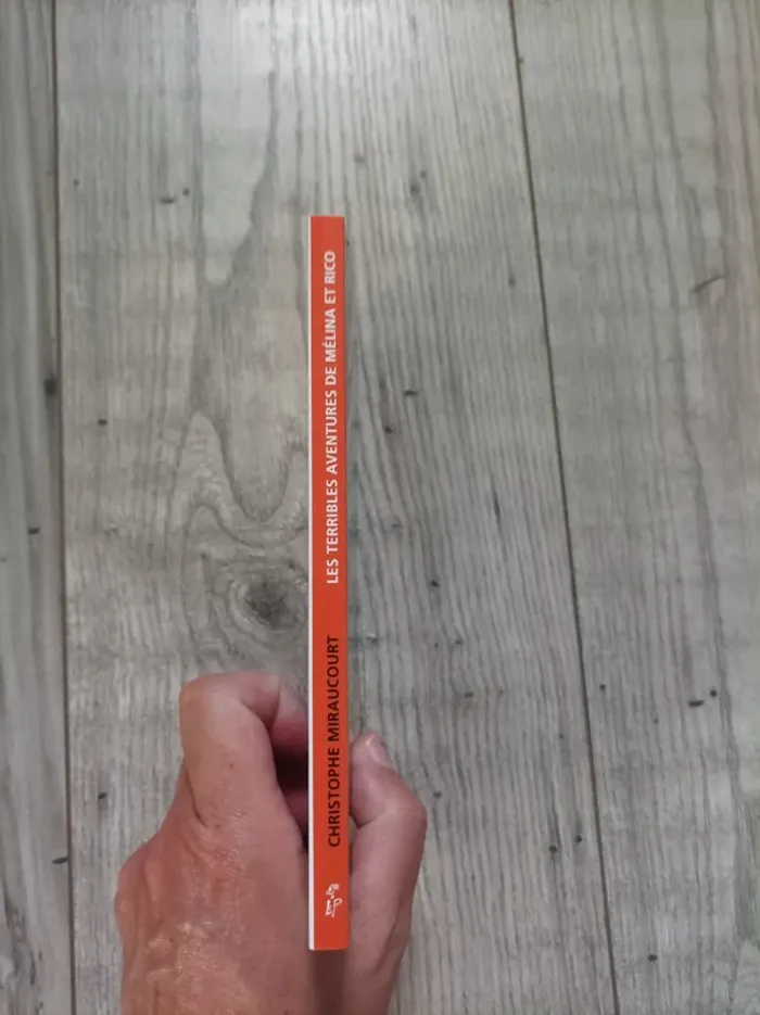 Livre pour enfants : " les terribles aventures de Mélina et Rico" - photo numéro 2