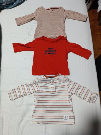 Lot de 3 tee shirt garçon