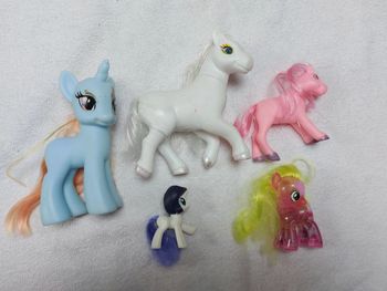 Poneys et licornes