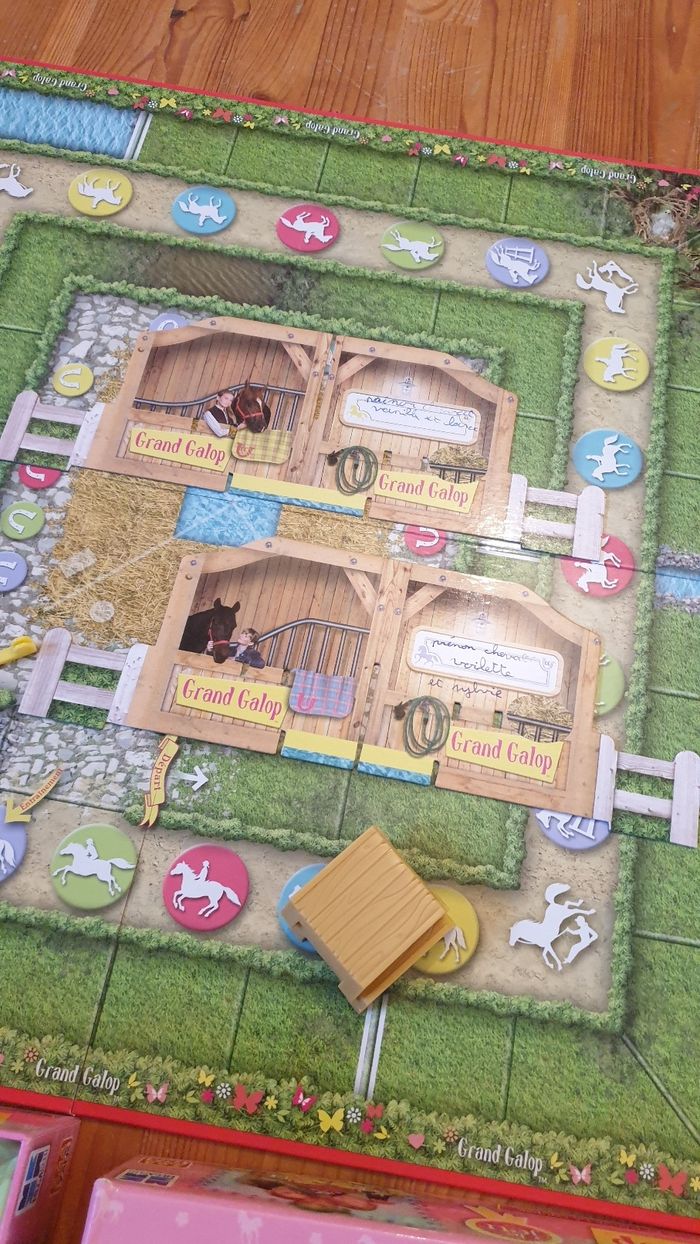 Grand galop - photo numéro 6